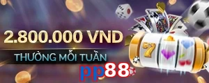 pp88