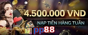 pp88
