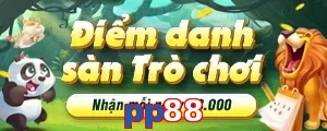pp88