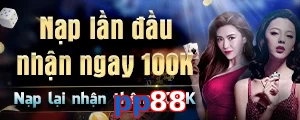 pp88